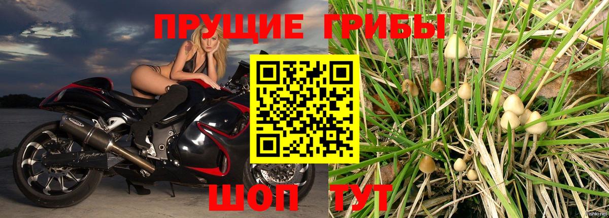 Уссурийск  Галлюциногенные грибы мухоморы  Вход с VPN  Галлюциногенные грибы Psilocybine cubensis 