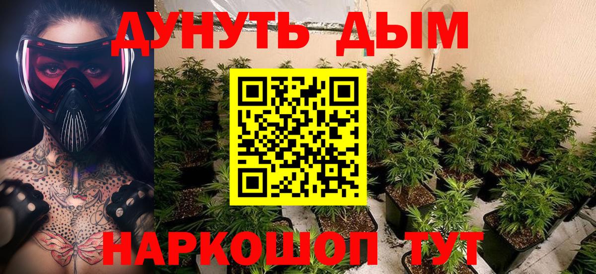 Уссурийск  Бошки Шишки SATIVA & INDICA  Вход с VPN  Марихуана планчик 